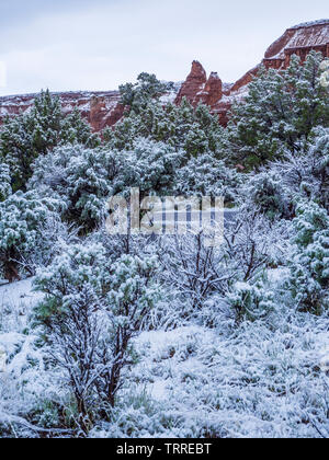 Neve nel canyon, bacino campeggio, Kodachrome Basin Parco Statale, Cannonville, Utah. Foto Stock