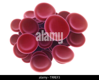 Le cellule rosse del sangue isolate su uno sfondo bianco, 3d Illustrazione medica Foto Stock