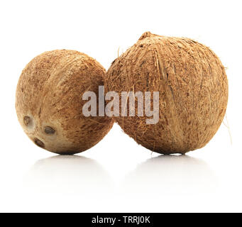 Noci di cocco isolato su uno sfondo bianco. Foto Stock