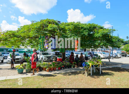 Pressione di stallo di mercato con abiti e piante in vendita sotto un Poinciana o albero di Natale, Port Vila, l'isola di Efate, Vanuatu, Melanesia Foto Stock
