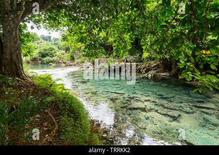 Le acque cristalline del Rarru Rentapao fiume vicino a Port Vila, l'isola di Efate, Vanuatu, Melanesia Foto Stock