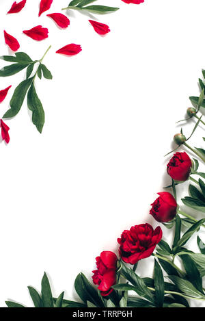 Composizione di fiori. Fiori rossi rappresentati su sfondo bianco separatamente. Molte piccole foglie per decorare qualsiasi celebrazione card. Piatto, laici top v Foto Stock