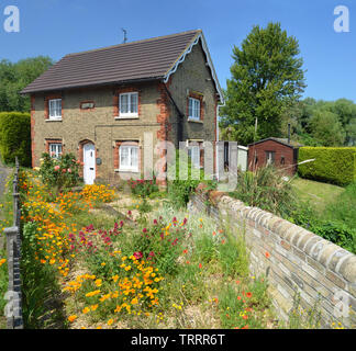 Cottage inglese con colorati Garden cottage e la parete. Foto Stock