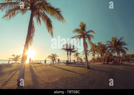 Palme presso la spiaggia di Cable Beach in Broome, Australia occidentale Foto Stock