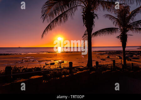 Palme al tramonto presso la spiaggia di Cable Beach in Broome, Australia occidentale Foto Stock