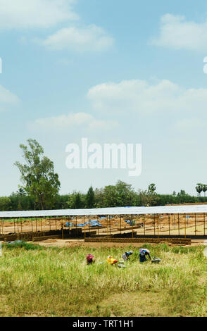I lavoratori che operano in campi. Foto Stock