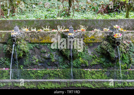 Acqua Santa di dragon forma fontane Balinese al tempio indù Pura Luhur Batukaru, Tabanan, Bali, Indonesia Foto Stock