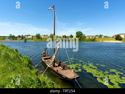 Indre-et-Loire (37) Savonnieres, // Francia. Indre et Loire. Barca tradizionale sulle rive del Cher. Foto Stock