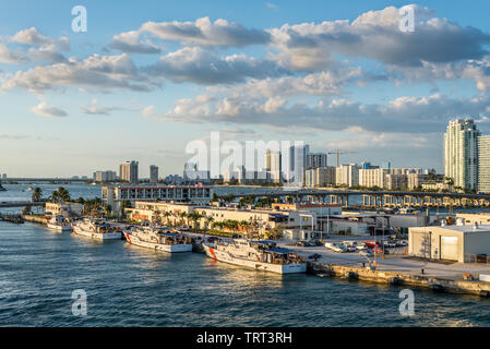 Miami, FL, Stati Uniti - Aprile 20, 2019: US Coast Guard navi ancorate nella sua casa di base nella Baia di Biscayne nel Porto di Miami, Florida, Stati Uniti Foto Stock