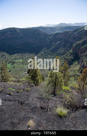 Il cratere vulcanico 1000 m in diametro e 200m di profondità - Caldera de Bandama, Gran Canaria, Spagna Foto Stock