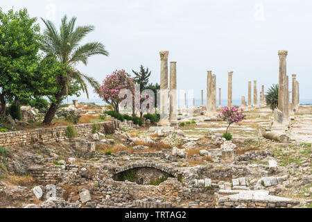 Colonnato in strada al Mina sito archeologico, pneumatico, Libano Foto Stock