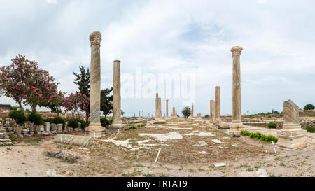 Colonnato in strada al Mina sito archeologico, pneumatico, Libano Foto Stock