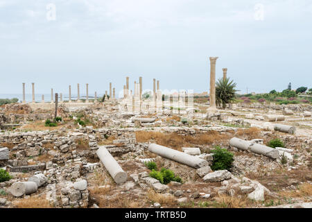 Colonnato in strada al Mina sito archeologico, pneumatico, Libano Foto Stock