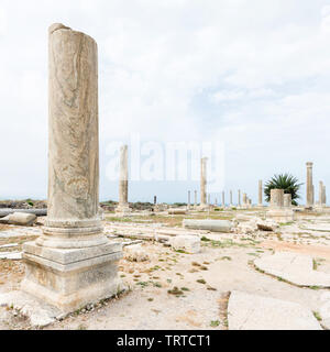 Colonnato in strada al Mina sito archeologico, pneumatico, Libano Foto Stock