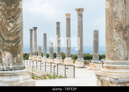 Nove colonne di granito parte del palaestra in Al Mina sito archeologico, pneumatico, Libano Foto Stock