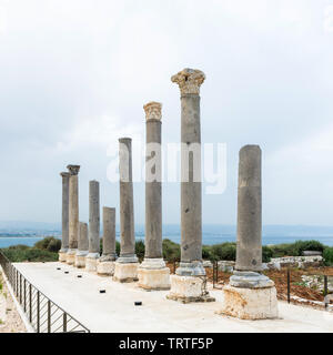 Nove colonne di granito parte del palaestra in Al Mina sito archeologico, pneumatico, Libano Foto Stock