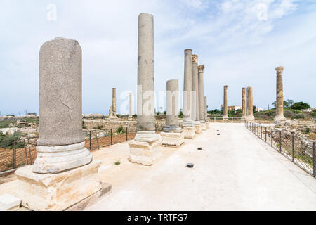 Nove colonne di granito parte del palaestra in Al Mina sito archeologico, pneumatico, Libano Foto Stock