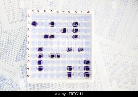 Corazzata laboratorio gioco fatto di cuvetta dello spettrofotometro in una scatola, fogli di carta con riempito in tabelle intorno ad esso Foto Stock