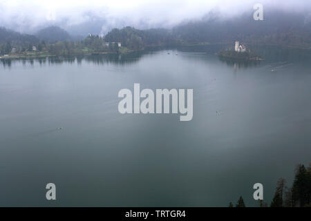 Ariel vista di un pellegrinaggio alla chiesa dell Assunzione di Maria, il lago di Bled Island, sulle Alpi Giulie, Slovenia, l'Europa. Foto Stock