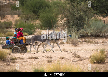 Donkey carrello essendo azionato da un locale di razza mista famiglia indigena nel Capo settentrionale vicino al Kgalagadi transfrontaliera Parco Nazionale Foto Stock