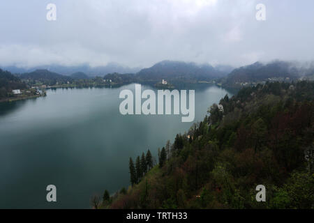 Ariel vista di un pellegrinaggio alla chiesa dell Assunzione di Maria, il lago di Bled Island, sulle Alpi Giulie, Slovenia, l'Europa. Foto Stock