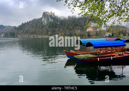 La molla della vista sul lago di Bled, città di Bled e sulle Alpi Giulie, Slovenia, l'Europa. Foto Stock