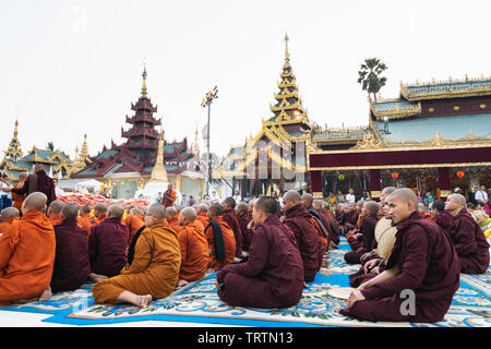 Yangon, Myanmar - Marzo 2019: i monaci buddisti durante la gazzetta alms dando cerimonia alla Shwedagon pagoda. Foto Stock