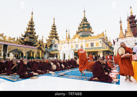 Yangon, Myanmar - Marzo 2019: i monaci buddisti durante la gazzetta alms dando cerimonia alla Shwedagon pagoda. Foto Stock