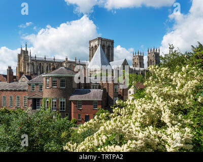 Vista del lato nord della cattedrale di York Minster dalle mura della città vicino a Monk Bar della città di York Yorkshire Inghilterra Foto Stock