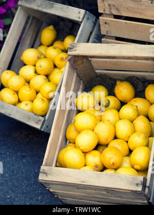 Gruppo di freschi limoni giallo in cassette di legno per la vendita nel mercato Foto Stock