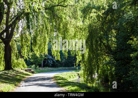 Un piccolo vicolo noto come il Bow Wow che costeggia il fiume Churn nel villaggio Costwold di South Cerney nel Gloucestershire. Foto Stock