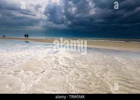 Giovane camminando sulla spiaggia sotto il cielo tempestoso, Olanda Foto Stock