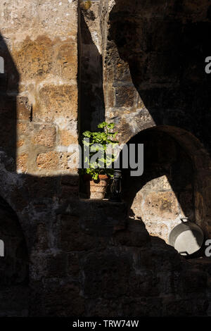 Luce e ombra di piante nel Monasterio de Santa Catalina, monastero, edificio religioso in Arequipa, Perù, Sud America Foto Stock