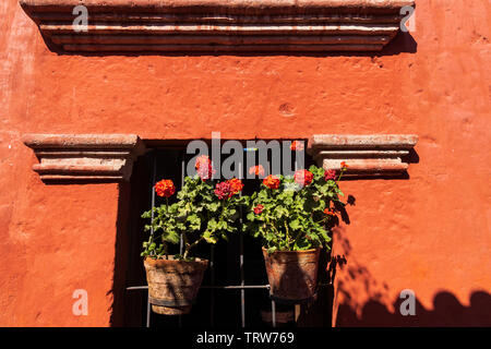 Luce e ombra di piante nel Monasterio de Santa Catalina, monastero, edificio religioso in Arequipa, Perù, Sud America Foto Stock