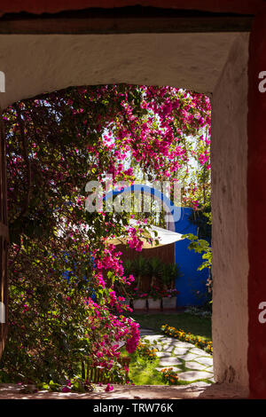 Luce e ombra di piante nel Monasterio de Santa Catalina, monastero, edificio religioso in Arequipa, Perù, Sud America Foto Stock