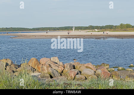 Spiaggia, Priwall, Travemuende, Schleswig-Holstein, Germania Foto Stock