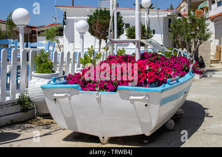 An old boat transformed into a flower display,displaying a beautiful arrangement of  petunias in Halkidiki, Greece. Foto Stock
