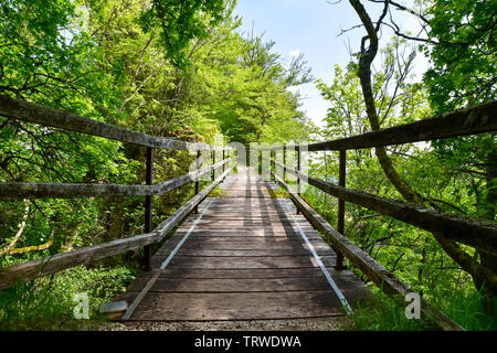 Ponte in legno sul precipizio nella valle del Danubio. Foto Stock