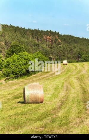 Fienagione sul campo nella Repubblica ceca - Europa. Il paesaggio agricolo. Caldo giorno d'estate sull'azienda. Foto Stock