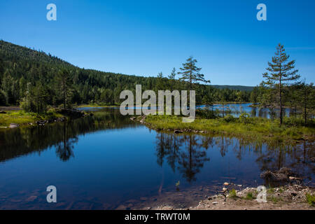 Il lago nella parte orientale della Norvegia / Telemark, Scandinavia Foto Stock