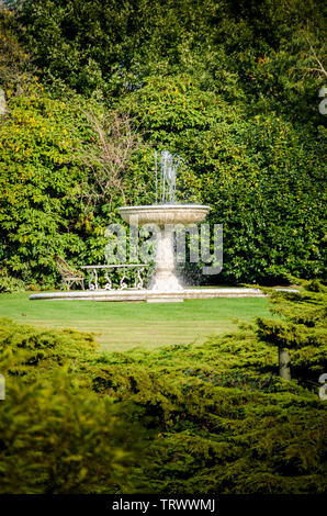 Fontana di acqua incorniciato da fogliame verde Foto Stock