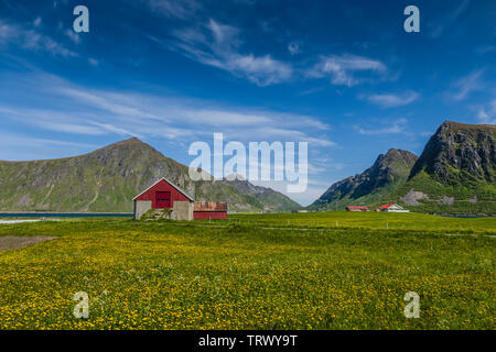 Farm di Flakstad, Isole Lofoten in Norvegia. Foto Stock
