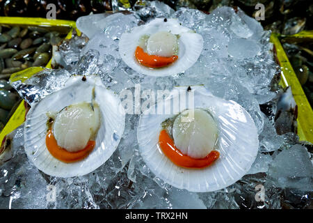 Cappesante è uno degli elementi da questo pesce fresco sul mercato. Si può tuttavia scegliere lo stile che si desidera cuocere a seconda del ristorante di scelta. Foto Stock