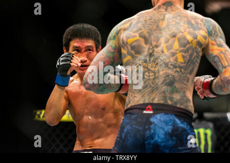 Chicago, IL, Stati Uniti - 8 Giugno 2019: Eddie Wineland lottando contro Grigorii Popov durante UFC 238 alla United Center. Foto Stock