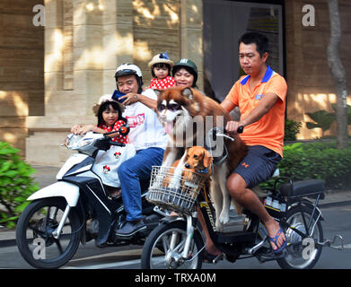 La città di Ho Chi Minh, Vietnam - Giugno 02, 2019; l'uomo prende due cani per un giro sul ciclo del motore nel mezzo dell'ità di domenica mattina mentre la famiglia prende Foto Stock