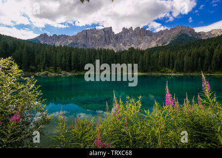 Bellissima vista di Carezza (lago di Carezza Lago con il monte Latemar, la provincia di Bolzano, Alto Adige, Italia Foto Stock