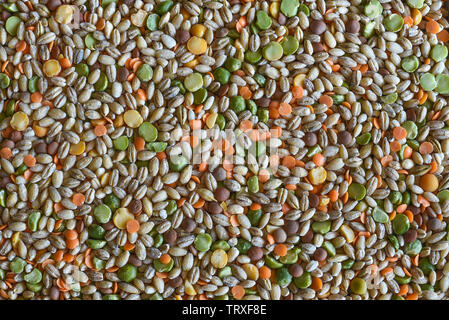 Mix di zuppa, un merci secche miscela di lenticchie, orzo e piselli spezzati. Foto Stock