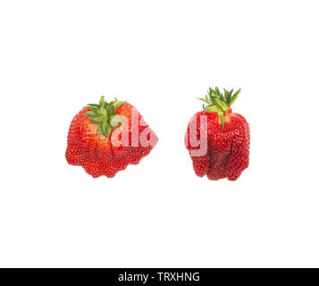 Due rosso Fragole organico isolato su bianco. Di tendenza naturale cibo brutto.Flat laici. Foto Stock