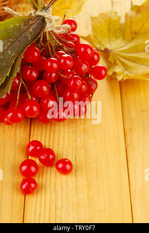 Bacche rosse di pallon di maggio con foglie di giallo su sfondo di legno Foto Stock