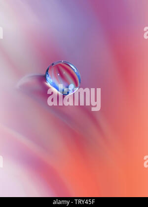 Un bel colore arancione sullo sfondo della natura.colorato sfondo artistico.astratto naturale la fotografia macro.Creative arte floreale di Design.color corallo.Gerbera Daisy Foto Stock